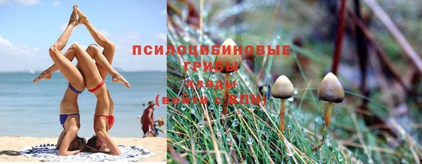 молекула духа Армянск