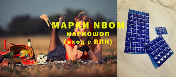 крисы Балахна