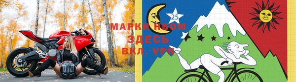 кокс Баксан