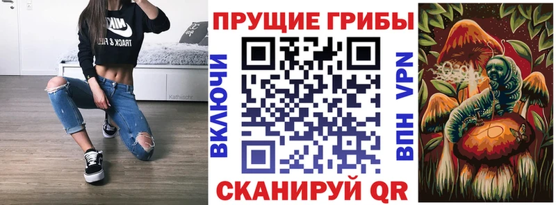 закладки  маркетплейс как зайти  Псилоцибиновые грибы мухоморы  Нея 